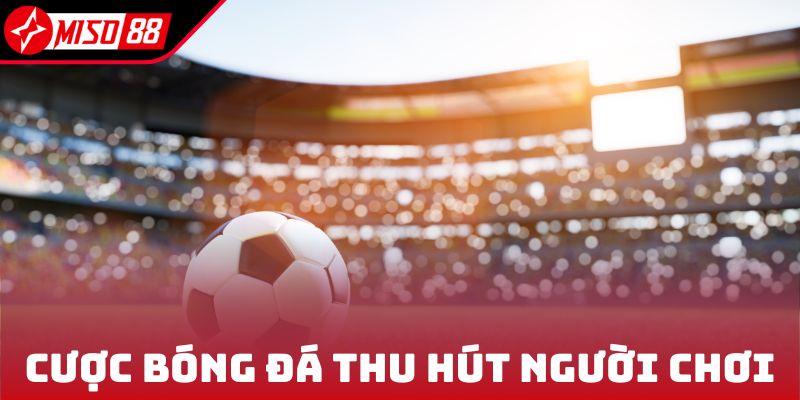 Cược bóng đá thu hút người chơi