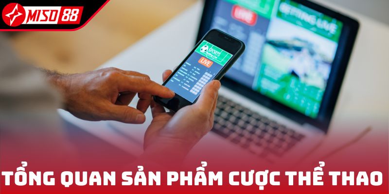 Tổng quan sản phẩm cá cược thể thao Miso88