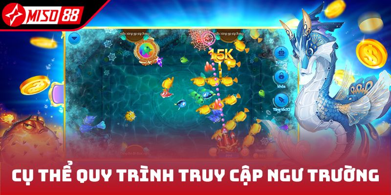 Cụ thể quy trình truy cập ngư trường