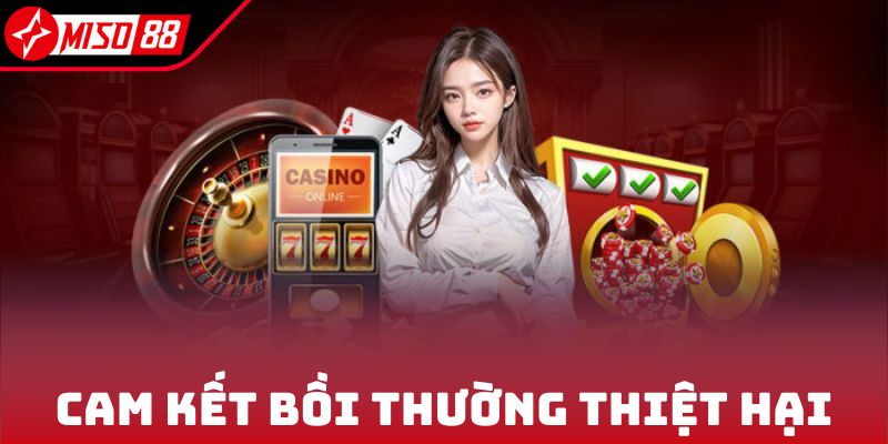 Điều khoản sử dụng Miso88 cam kết bồi thường thiệt hại