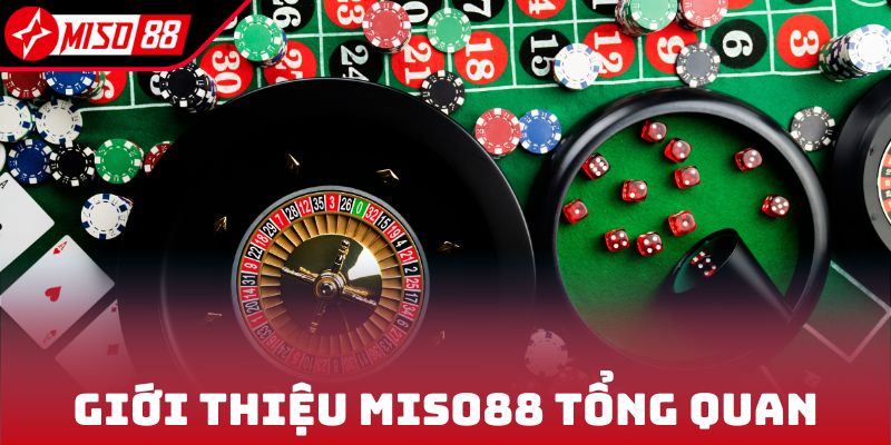 Giới thiệu Miso88 tổng quan