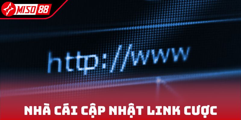 Nhà cái cập nhật link cược