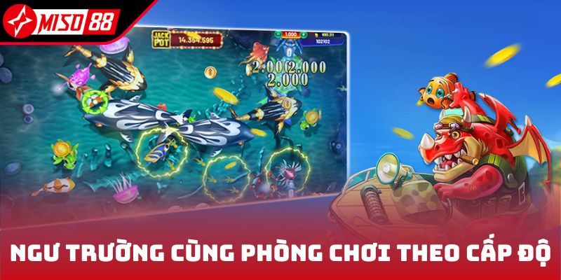 Ngư trường cùng phòng chơi theo cấp độ